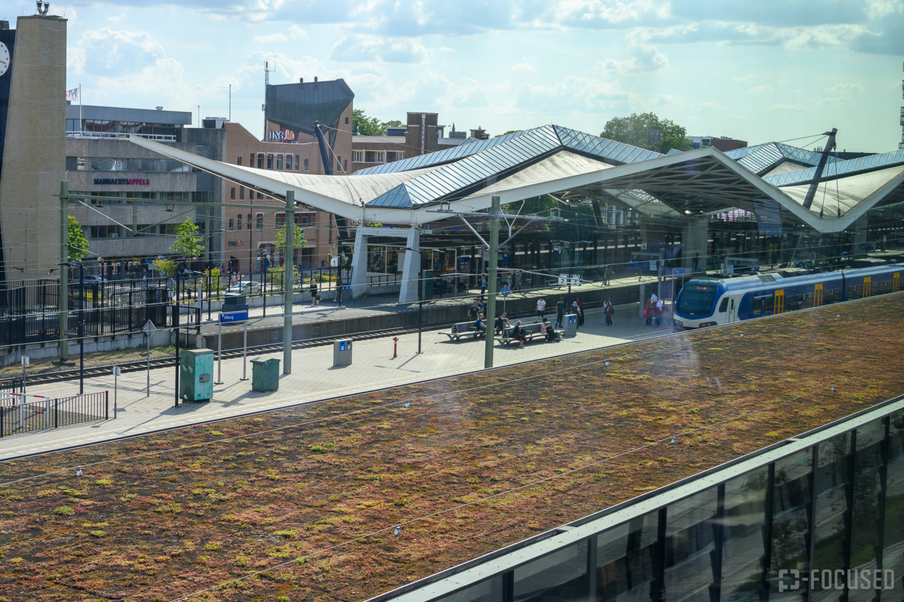 Proostend de zomer in - JOST